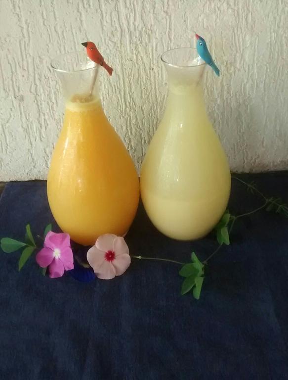 Pousada Jasmim Dos Poetas Mata de Sao Joao Buitenkant foto